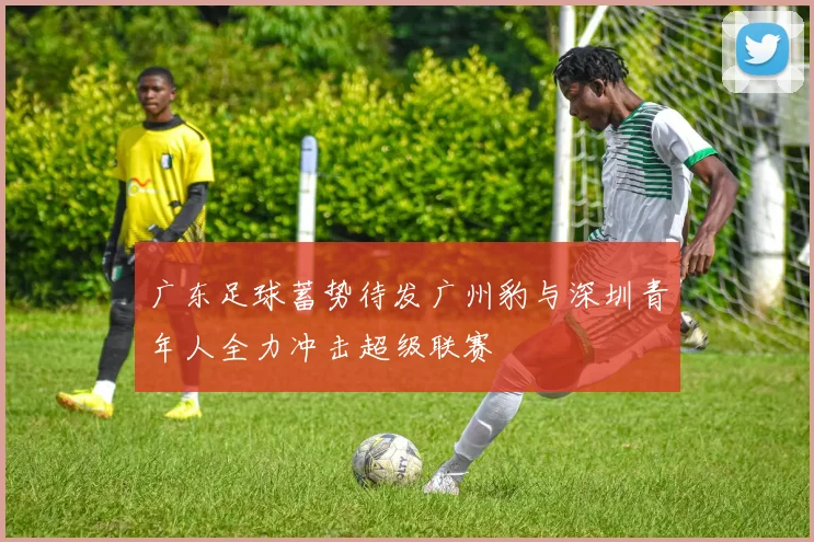 广东足球蓄势待发广州豹与深圳青年人全力冲击超级联赛