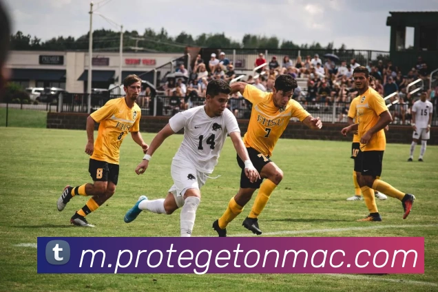 辅助工具